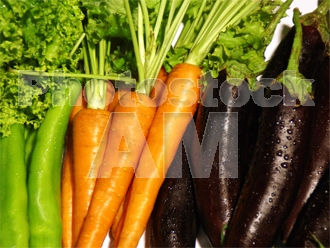 Armenia photo - Armenian photo, armenian stock photo
