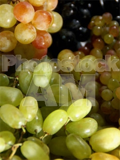 Armenia photo - Armenian photo, armenian stock photo