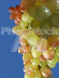 Armenia photo - Armenian photo, armenian stock photo