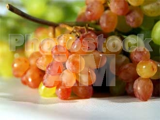 Armenia photo - Armenian photo, armenian stock photo