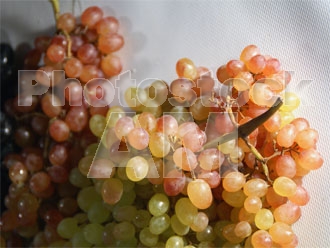 Armenia photo - Armenian photo, armenian stock photo