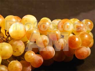 Armenia photo - Armenian photo, armenian stock photo