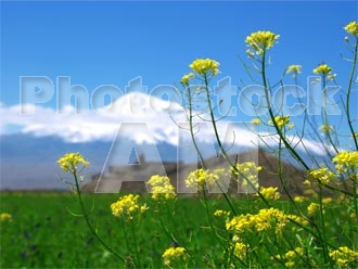 Armenia photo - Armenian photo, armenian stock photo