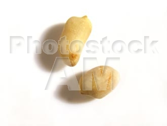 Armenia photo - Armenian photo, armenian stock photo