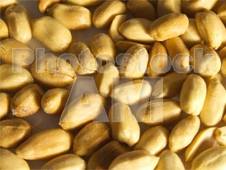 Armenia photo - Armenian photo, armenian stock photo