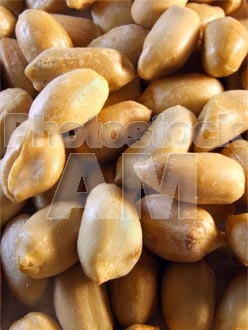 Armenia photo - Armenian photo, armenian stock photo