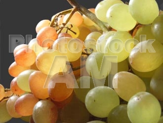 Armenia photo - Armenian photo, armenian stock photo