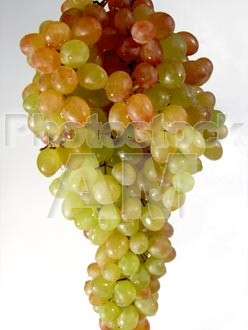 Armenia photo - Armenian photo, armenian stock photo