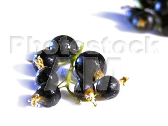Armenia photo - Armenian photo, armenian stock photo