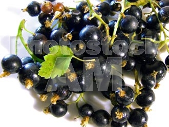 Armenia photo - Armenian photo, armenian stock photo