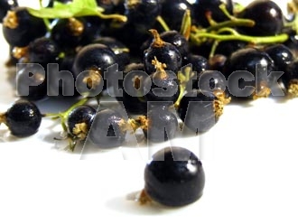 Armenia photo - Armenian photo, armenian stock photo
