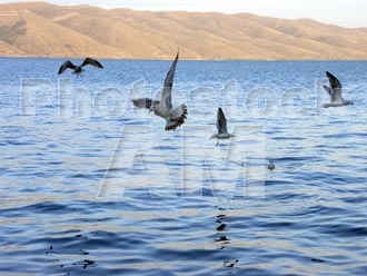 Armenia photo - Armenian photo, armenian stock photo