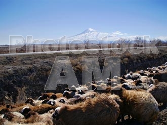 Armenia photo - Armenian photo, armenian stock photo