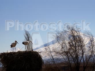 Armenia photo - Armenian photo, armenian stock photo