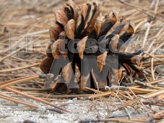 Armenia photo - Armenian photo, armenian stock photo