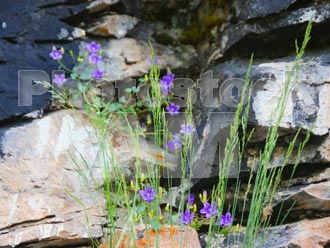 Armenia photo - Armenian photo, armenian stock photo