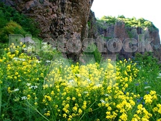 Armenia photo - Armenian photo, armenian stock photo