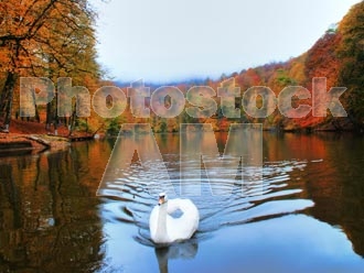 Armenia photo - Armenian photo, armenian stock photo