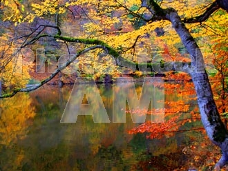 Armenia photo - Armenian photo, armenian stock photo