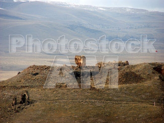 Armenia photo - Armenian photo, armenian stock photo