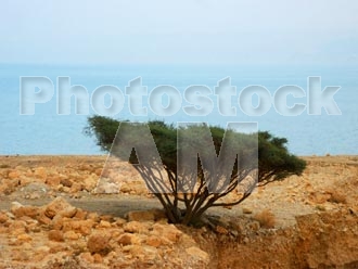 Armenia photo - Armenian photo, armenian stock photo