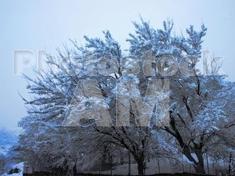 Armenia photo - Armenian photo, armenian stock photo
