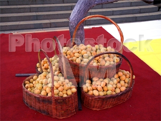 Armenia photo - Armenian photo, armenian stock photo